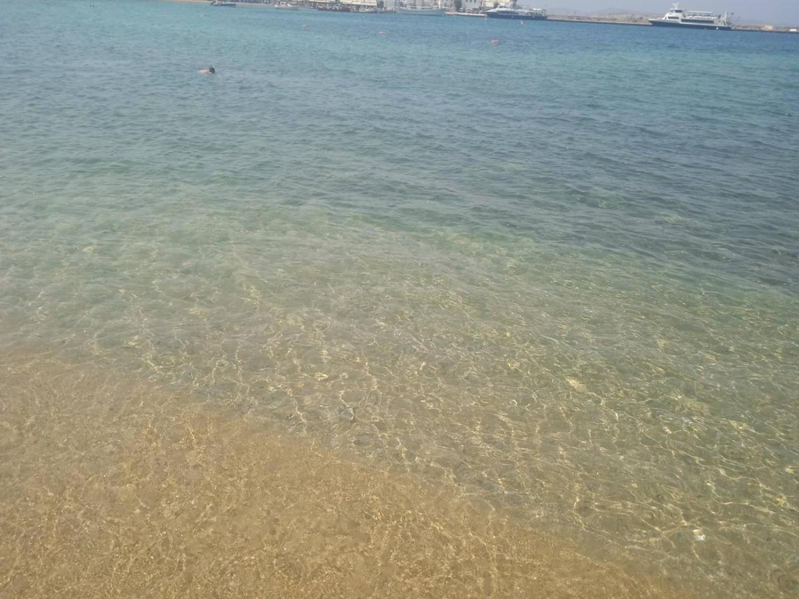 Anemones Sea View Lägenhet Mykonos Town Exteriör bild